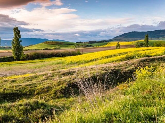 Camino de Santiago